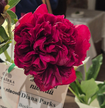 Diana Parks 3/5 бруньок 413-3 фото