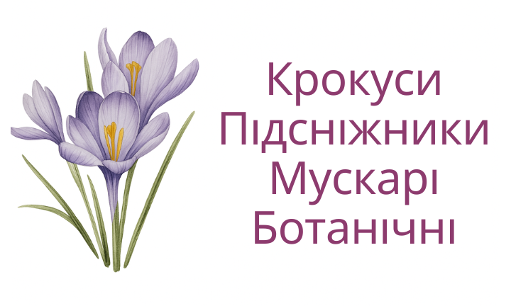 Крокуси, Мускарі, Ботанічні Десктоп